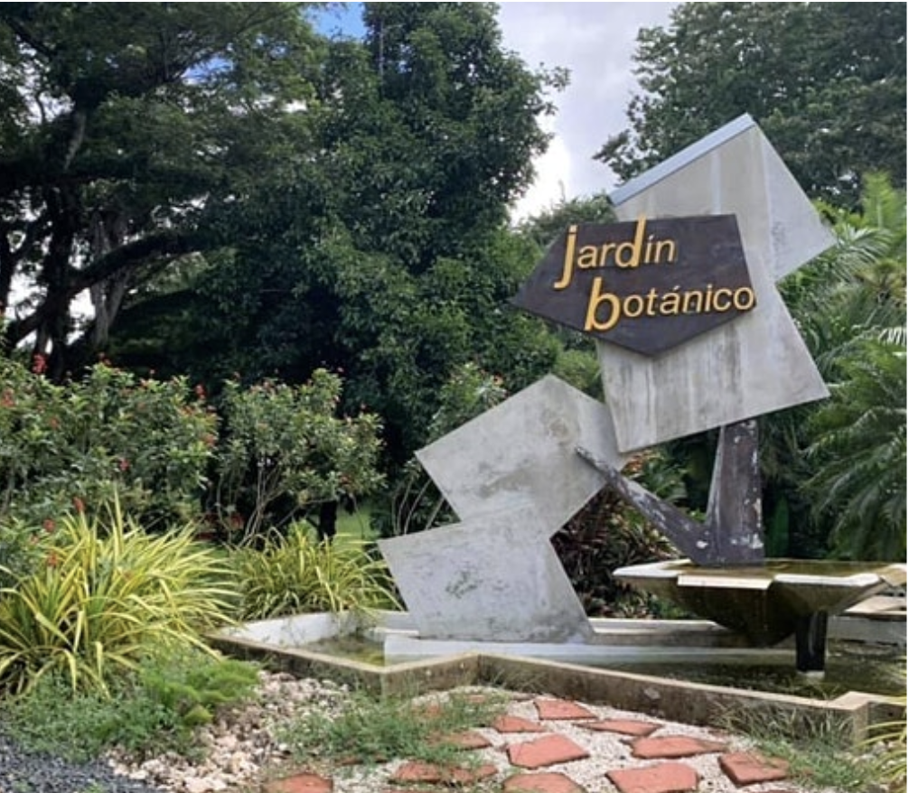 Reabre el Jardín Botánico en Río Piedras Univision Puerto Rico WLII
